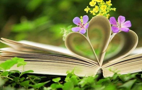 «ΕΙΚΟΝΑ:ΖΩΝΤΑΝΗ ΠΡΑΓΜΑΤΙΚΟΤΗΤΑ Η ΑΝΤΙΚΑΤΟΠΤΡΙΣΜΟΣ;»