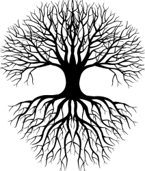 «ΟΙ ΡΙΖΕΣ ΤΗΣ ΠΕΡΙΒΑΛΛΟΝΤΙΚΗΣ ΗΘΙΚΗΣ»