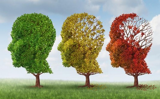 «ΝΟΣΟΣ ALZHEIMER»