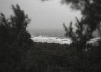 « ΣΙΩΠΗΛΟΣ ΔΟΛΟΦΟΝΟΣ»