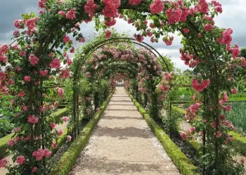 «O ΚΗΠΟΣ ΤΩΝ ΟΝΕΙΡΩΝ ΚΑΙ ΤΩΝ ΣΥΝΑΙΣΘΗΜΑΤΩΝ»